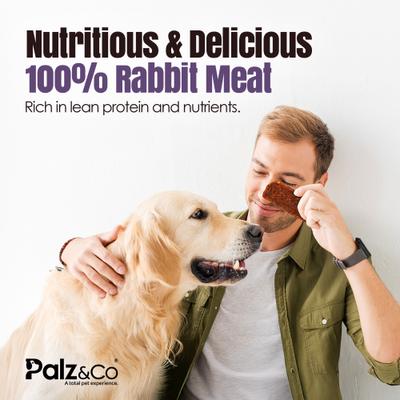 Rabbitdog Rabbit Grain-Free Jerky Dog Treats, 8-oz bag, 10 count