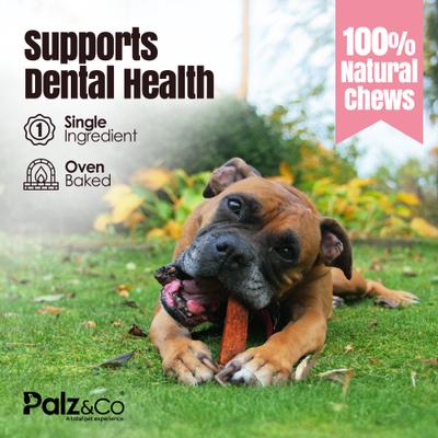 Hogdog Pork Grain-Free Jerky Dog Treats, 8-oz bag, 10 count