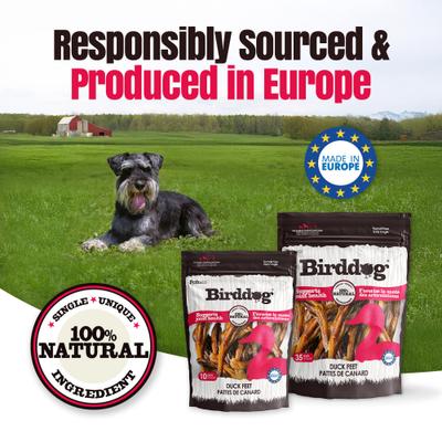 Birddog Duck Feet Dog Natural Chew Treats, 6-oz bag, 10 count