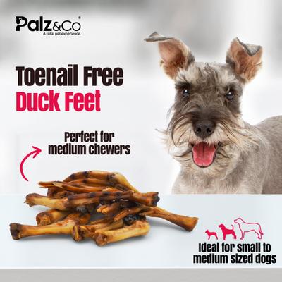 Birddog Duck Feet Dog Natural Chew Treats, 6-oz bag, 10 count