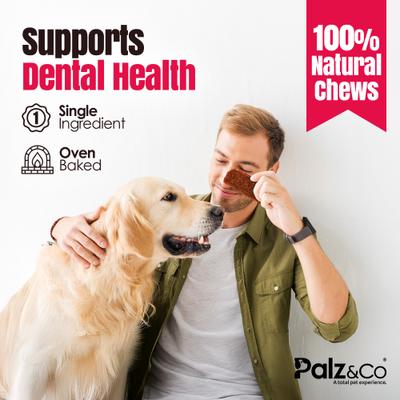 Birddog Chicken Grain-Free Jerky Dog Treats, 12-oz bag, 10 count