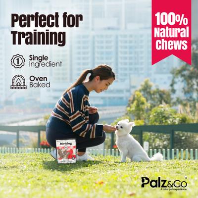 Birddog Duck Grain-Free Soft & Chewy Bites Dog Treats, 6-oz bag