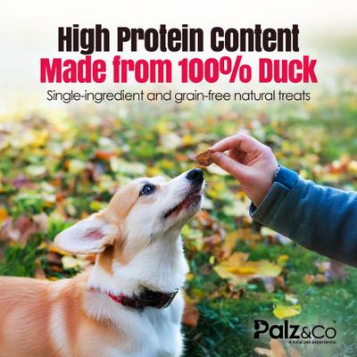 Birddog Duck Grain-Free Soft & Chewy Bites Dog Treats, 6-oz bag