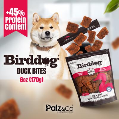 Birddog Duck Grain-Free Soft & Chewy Bites Dog Treats, 6-oz bag