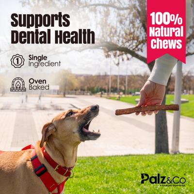 Birddog Chicken Grain-Free Soft & Chewy Sausage Dog Treats, 20-oz bag, 20 count