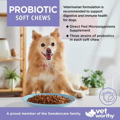 Probiotic Soft Chew Digestive Health Support Supplement for Dogs, 60 count