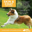 Soft Chew Skin & Coat Supplement for Dogs 30 count