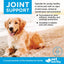 Soft Chew Joint Support Supplement for Dogs, 60 count