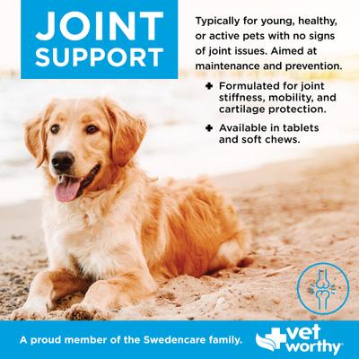 Soft Chew Joint Support Supplement for Dogs, 60 count