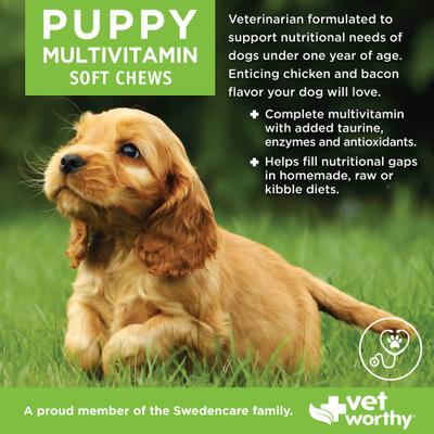 Multi-Vitamins Soft Chew Supplement for Puppies, 60 count