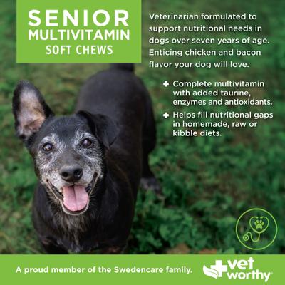 Multi-Vitamins Soft Chew Supplement for Senior Dogs, 60 count
