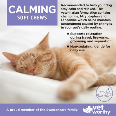 Feline Calming Soft Chews Allergy & Anxiety Supplement for Cats, 60 count