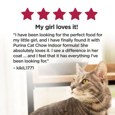 Essentials 7+ Immune + Joint Health Recipe Senior Dry Cat Food, 3.15-lb bag, case of 4