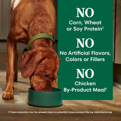 Natural Choice Adult Healthy Weight Lamb & Brown Rice Recipe Dry Dog Food, 30-lb bag