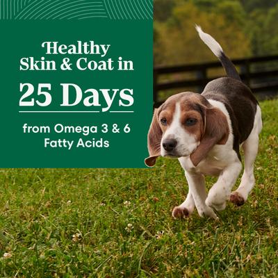 Natural Choice Puppy Chicken & Brown Rice Recipe Dry Dog Food, 13-lb bag