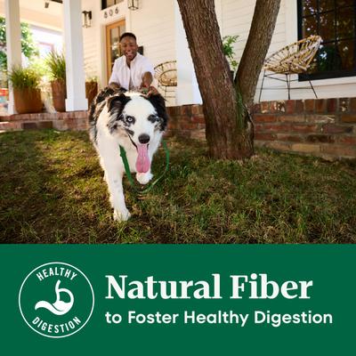 Natural Choice Adult Large Breed Healthy Weight Chicken & Brown Rice Recipe Dry Dog Food, 30-lb bag