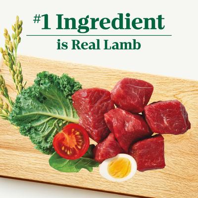 Natural Choice Puppy High Protein Lamb & Brown Rice Recipe Dry Dog Food, 4.5-lb bag