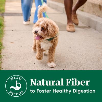 Natural Choice Adult Small Bites Chicken & Brown Rice Recipe Dry Dog Food, 5-lb bag