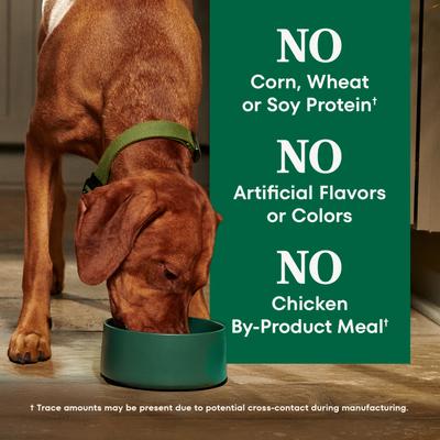 Natural Choice Adult Large Breed Healthy Weight Chicken & Brown Rice Recipe Dry Dog Food, 30-lb bag