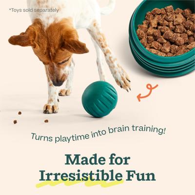 Air-Dried Puzzle Training Chicken Natural Dogs Chew Treats, 5-oz bag