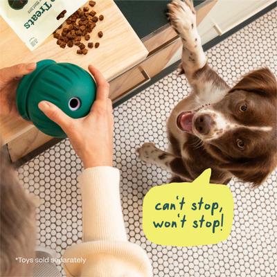 Air-Dried Puzzle Training Chicken Natural Dogs Chew Treats, 5-oz bag