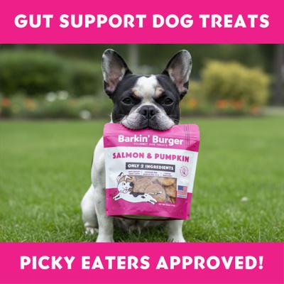 Barkin Burger Salmon & Pumpkin Grain-Free Dehydrated Dog Treats, 16-oz bag