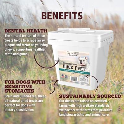 Duck Feet Dehydrated Dog Treats, 100 count