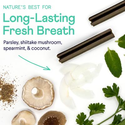 Plaque Patrol Dental Sticks Dog Treats, Small, 20 count