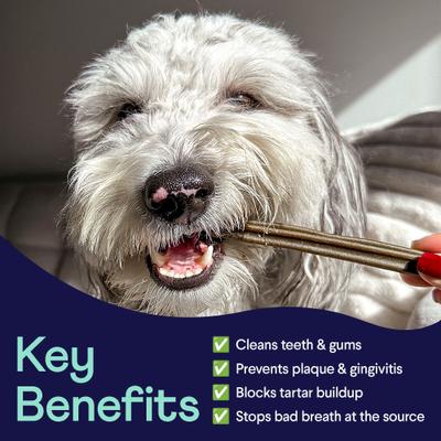 Plaque Patrol Dental Sticks Dog Treats, Large, 15 count