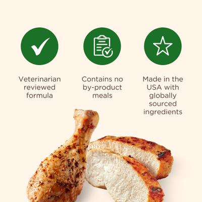 Paquete: Alimento seco Rachael Ray Nutrish con pollo y verduras + premios Savory Roasters de pollo asado para perros