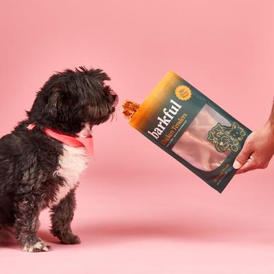 Chicken Tender Human Grade Adult Dehydrated Dog Treats, 4-oz bag