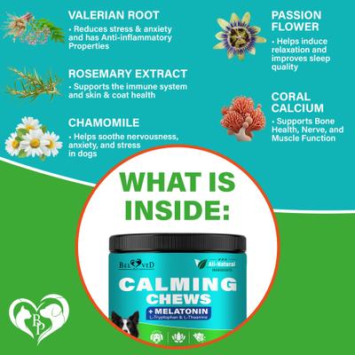 Melatonin Bacon Flavored Chews Calming Supplement for Dogs, 10-oz bag