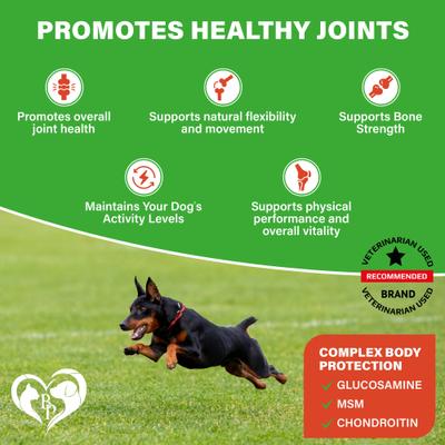 Glucosamine Bacon Flavored Chews Hip & Joint Support Supplement for Dogs, 10-oz bag