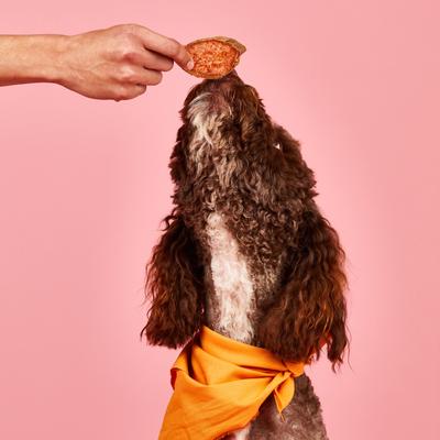 Golosinas deshidratadas para perros adultos de calidad humana en rodajas de batata, bolsa de 4 oz