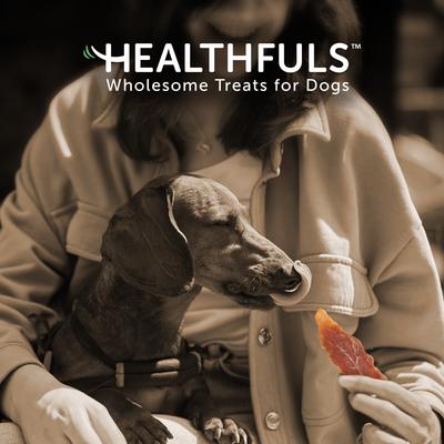 Chicken Tenders Dog Treats, 11-oz bag, bundle of 2