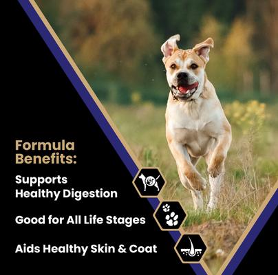 Gluten-Free Beef Meal & Brown Rice Dry Dog Food, 30-lb bag