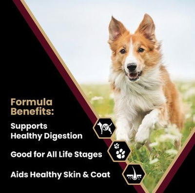 Gluten-Free Lamb Meal & Brown Rice Dry Dog Food, 15-lb bag