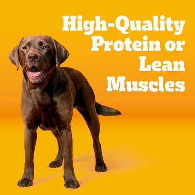 Tender Bites Complete Nutrition Chicken & Steak Flavor Dry Dog Food, 30-lb bag