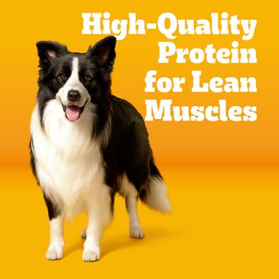 with MarroBites Steak & Vegetable Flavor Pieces Adult Dry Dog Food, 36-lb bag