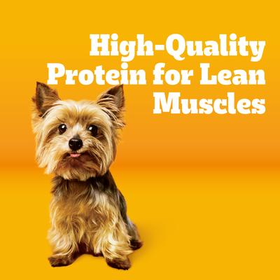 Tender Bites Complete Nutrition Chicken & Steak Flavor Small Breed Adult Dry Dog Food, 14-lb bag