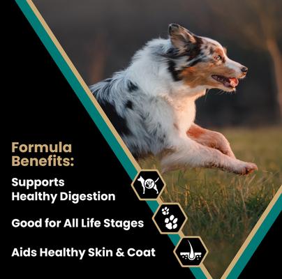 Gluten-Free Ocean Fish Formula with Salmon Omega-3 Enriched Dry Dog Food, 5-lb bag