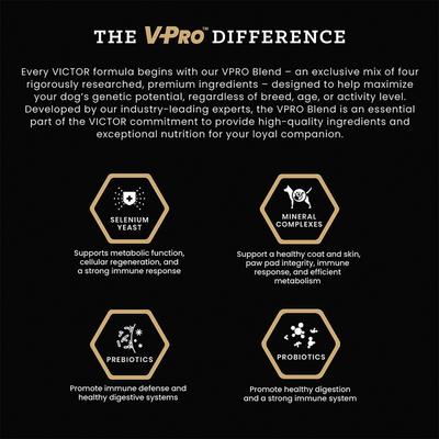 Gluten-Free Ocean Fish Formula with Salmon Omega-3 Enriched Dry Dog Food, 5-lb bag