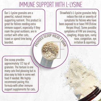 L-Lysine Immune Support Cat Supplement, 7-oz jar