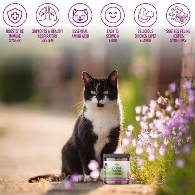 L-Lysine Immune Support Cat Supplement, 7-oz jar