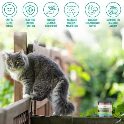 Pre + Probiotic Powder Cat Supplement, 4.2-oz jar