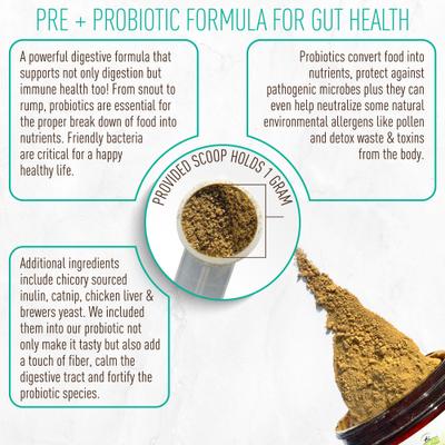 Pre + Probiotic Powder Cat Supplement, 4.2-oz jar