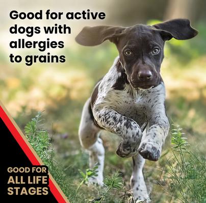 Grain-Free Active High Protein Dry Dog Food, 30-lb bag