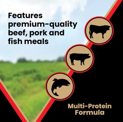 Grain-Free Active High Protein Dry Dog Food, 30-lb bag