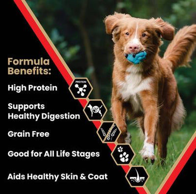 Grain-Free Active High Protein Dry Dog Food, 30-lb bag