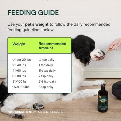 Advanced Omega 3 Fish Oil for Healthy Skin & Coat Supplement for Dogs, 8-fl oz bottle